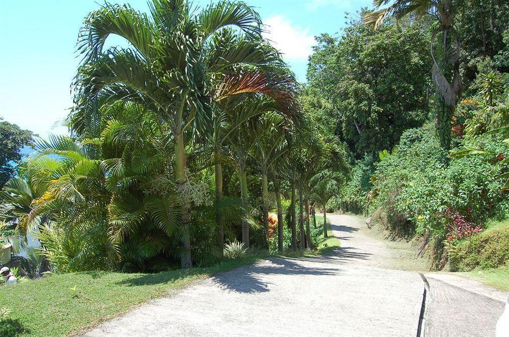 Sailfish Beach Villas Anse a La Mouche Luaran gambar